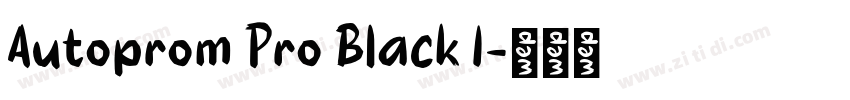 Autoprom Pro Black I字体转换